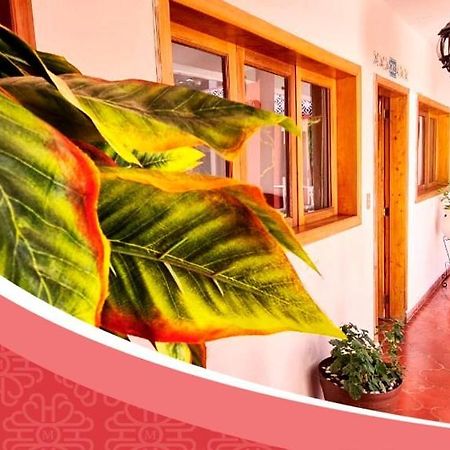 Hotel De Mariacentro San Cristóbal de Las Casas エクステリア 写真