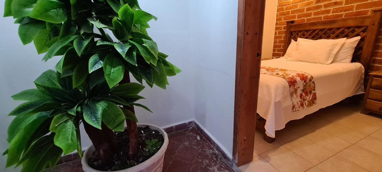 Hotel De Mariacentro San Cristóbal de Las Casas エクステリア 写真