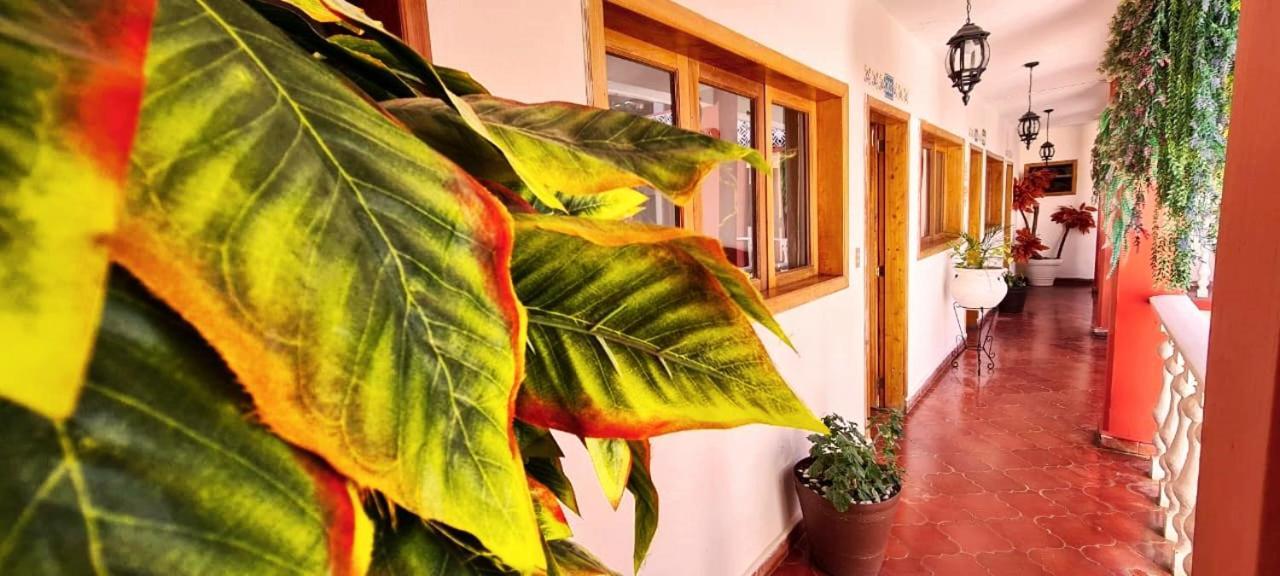 Hotel De Mariacentro San Cristóbal de Las Casas エクステリア 写真
